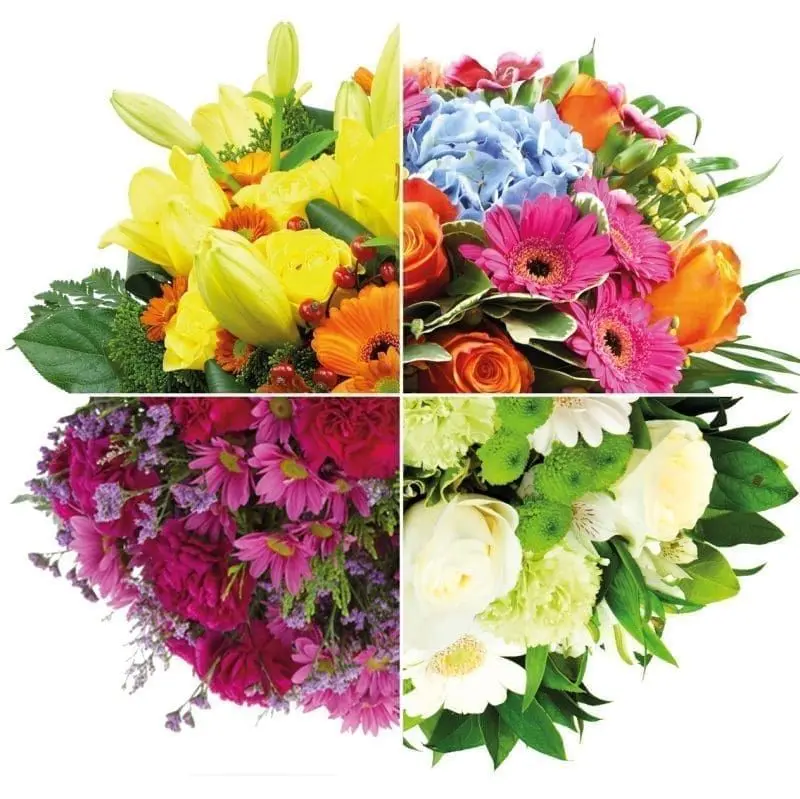 Flower Bouquet SURPRISE
