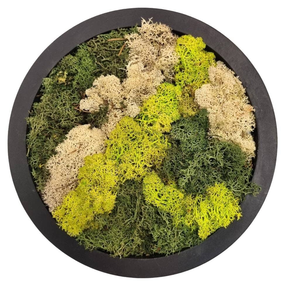 Moss Art round