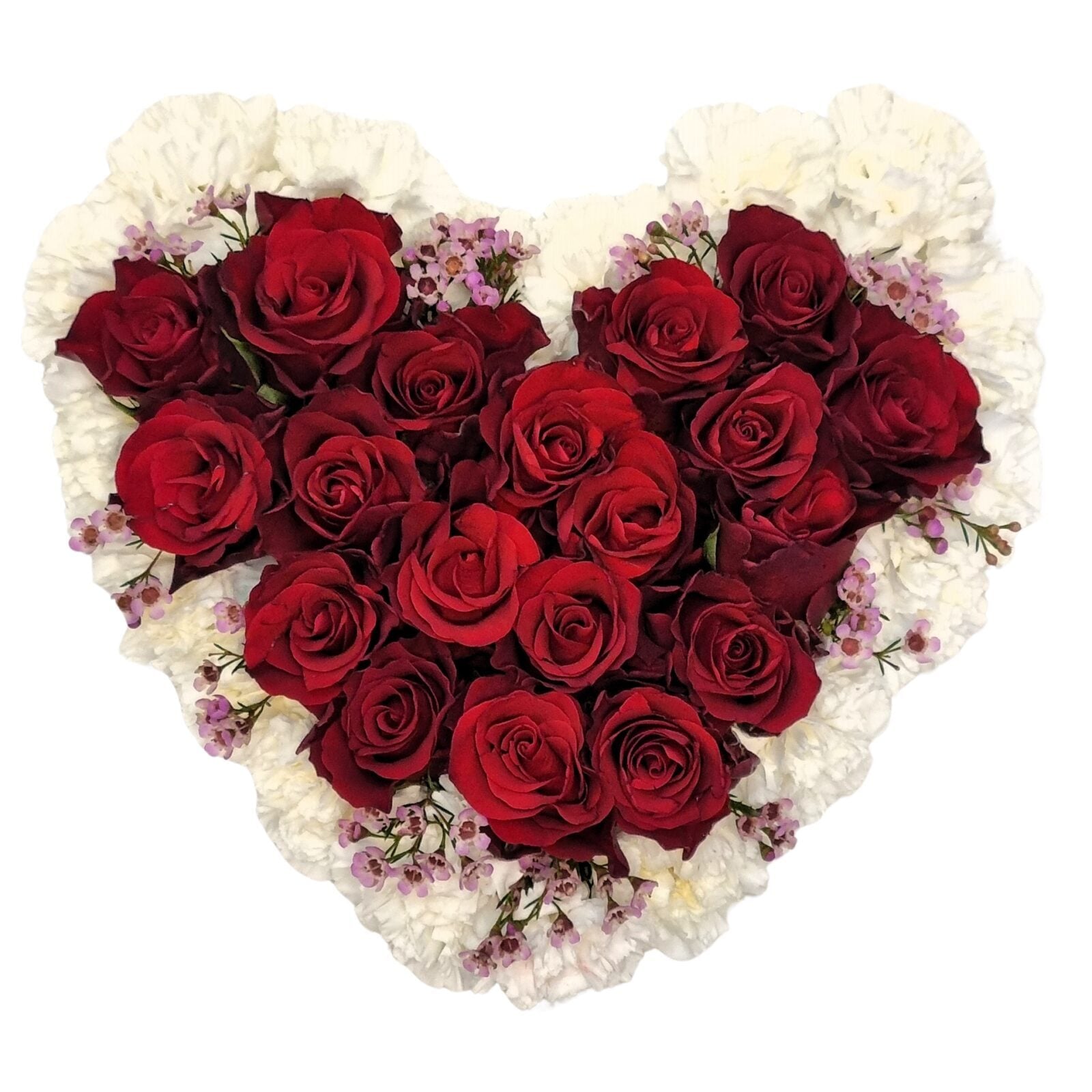 Sweetheart 25cm