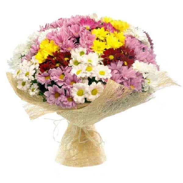 15 branches Colorful Daisy Bouquet
