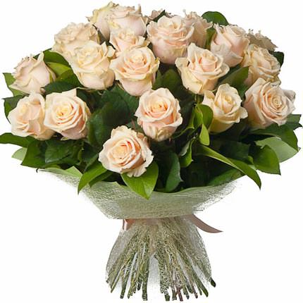 25 Creamy Roses