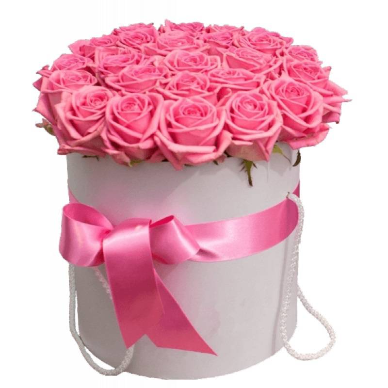 25 pink Roses