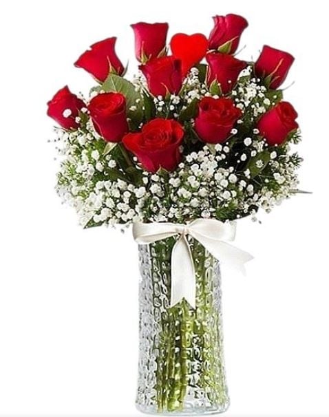 11 red roses in vase