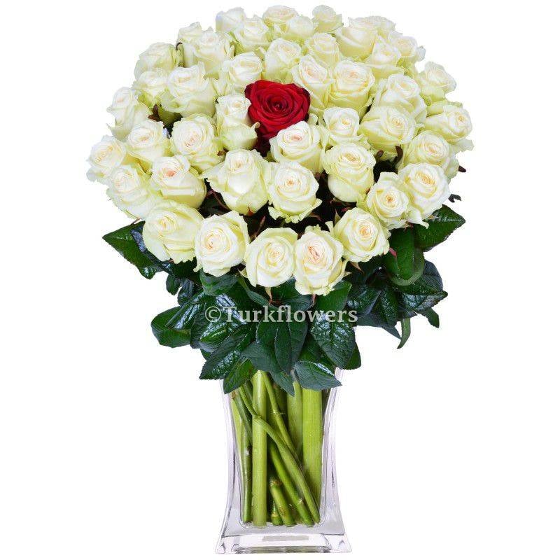 50 White Roses + 1 Red roses