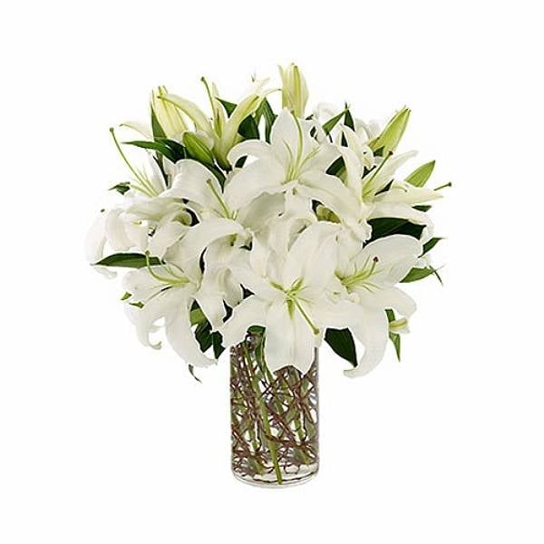 White Lily in Vase