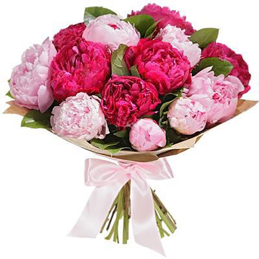 Dark pink and light pink peony