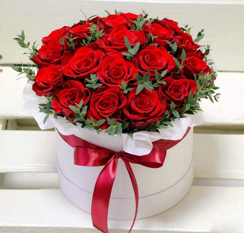 25 Red roses in Box