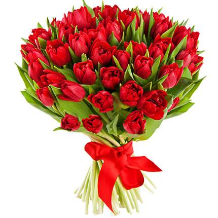 51 Red Tulips
