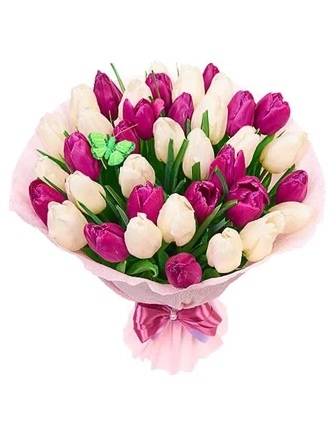 39 Purple and white tulips