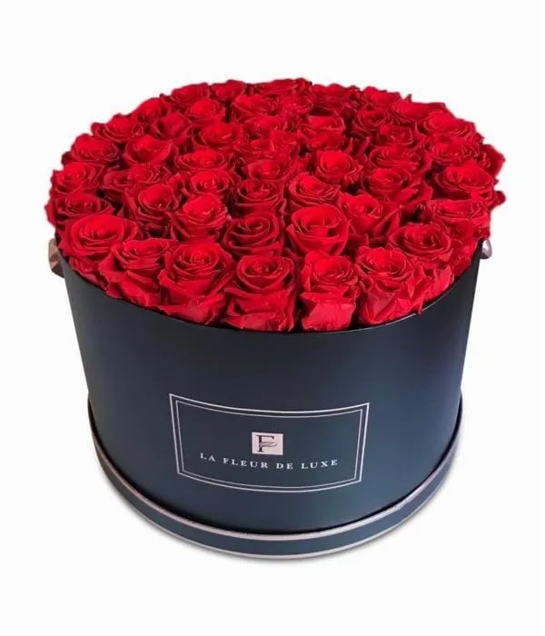 42-46 Red Long Lasting Roses