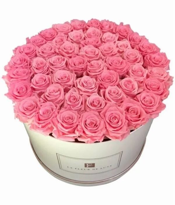 42-46 Pink Long Lasting Roses