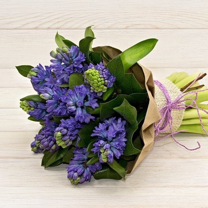 Purple hyacinth bouquet