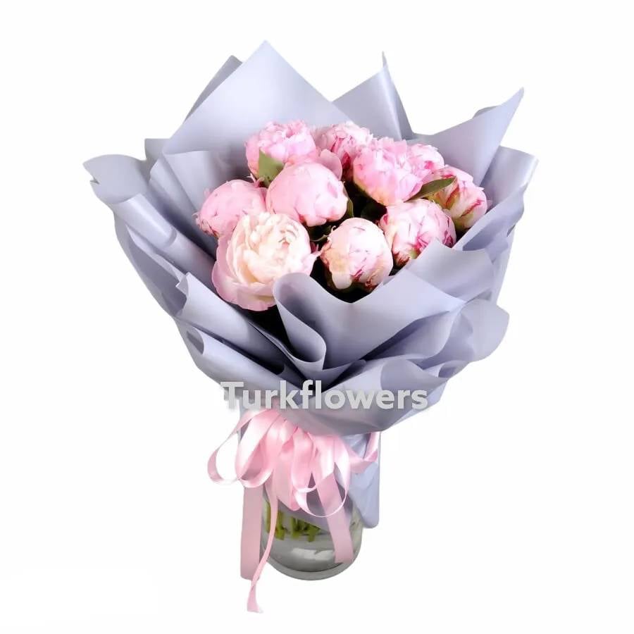 11 pink Peony