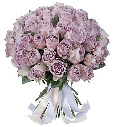 81 Lilac Kenya Roses