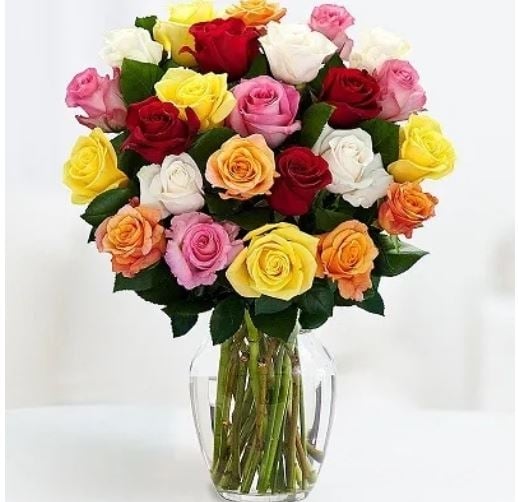 25 Color Roses