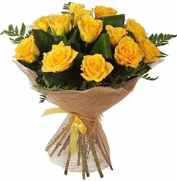 13 Yellow Roses