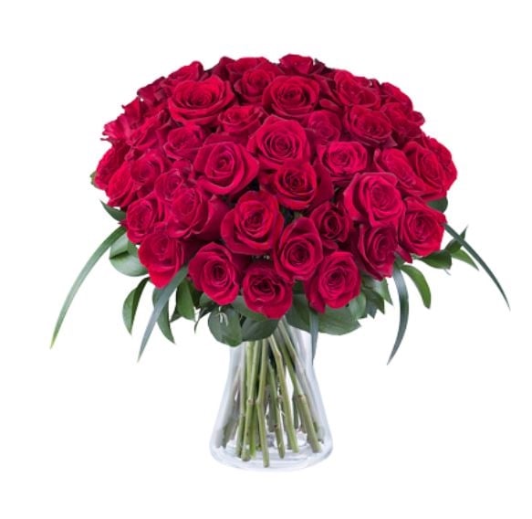 41 Red Roses