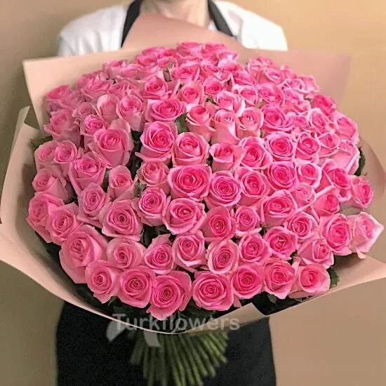101 pink roses