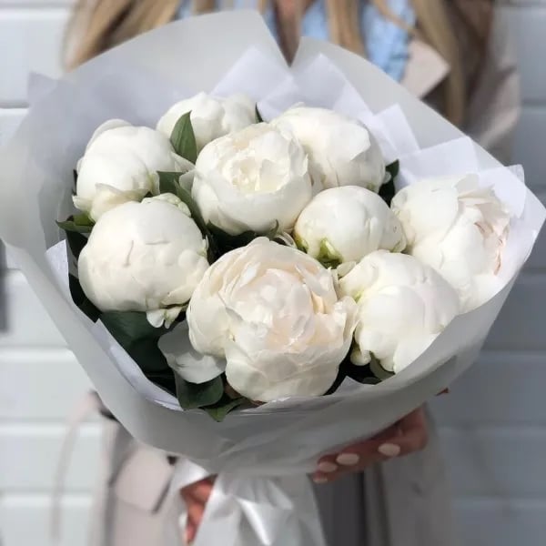 11 White peony