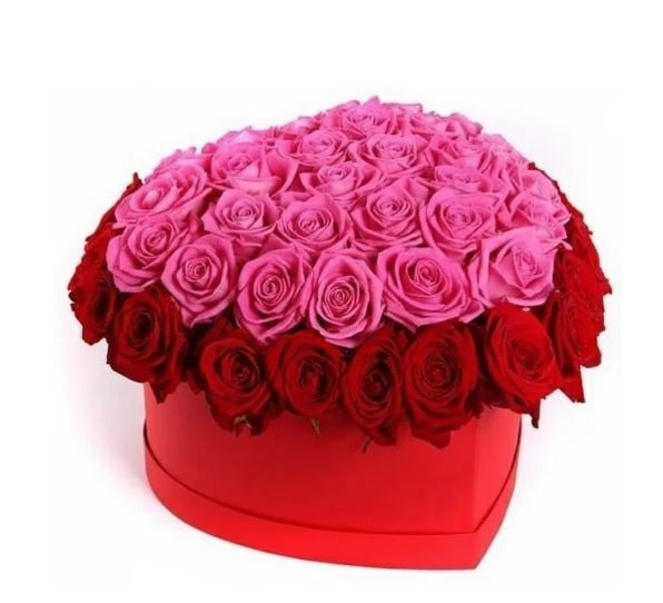 Red and Pink Hearth