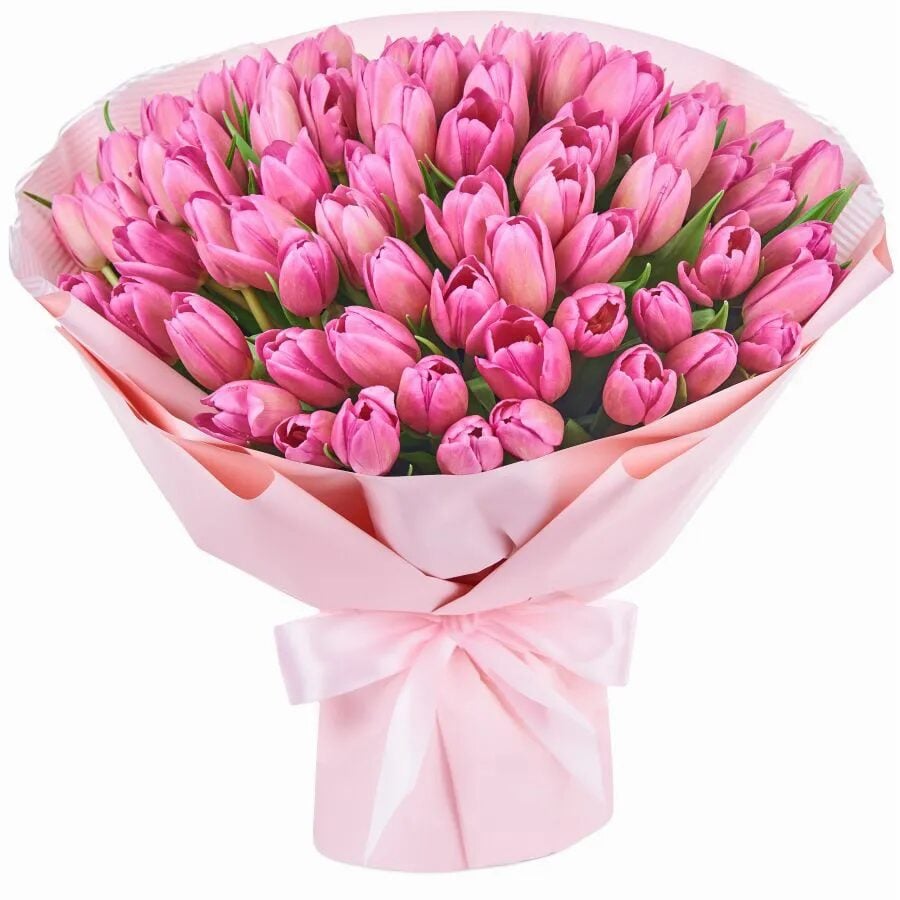 51 Pink Tulips