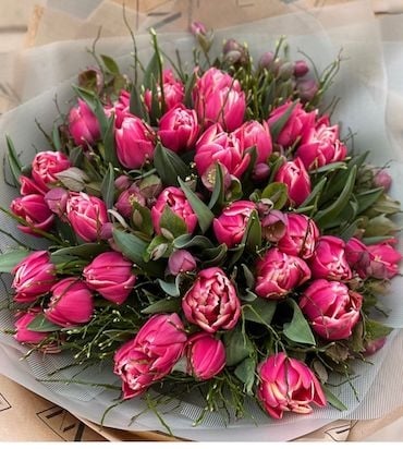 35 Pink Tulips