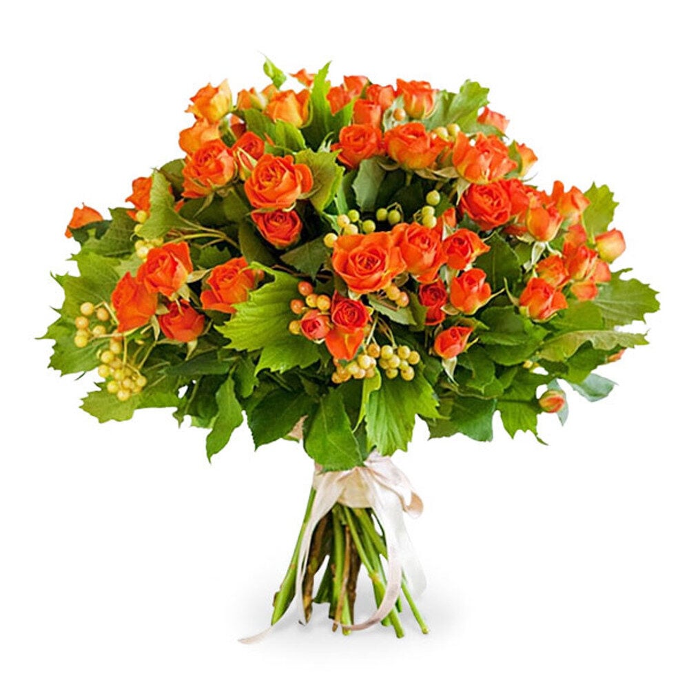 12 Spray Orange Roses