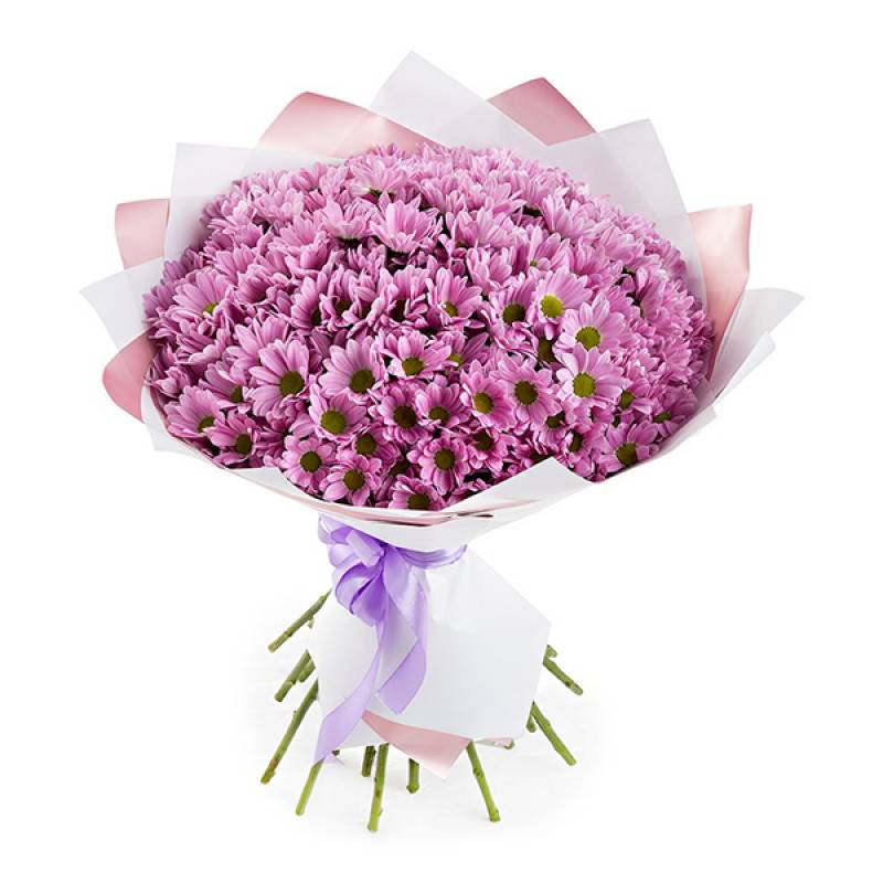 15 Pink Daisies