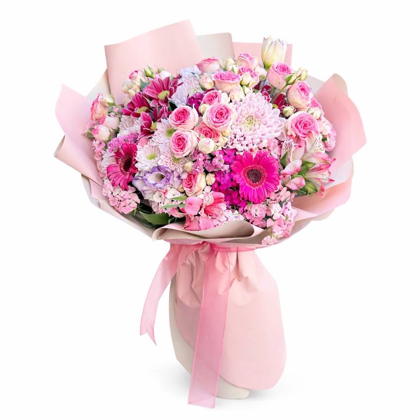 Pink Blossom Dream