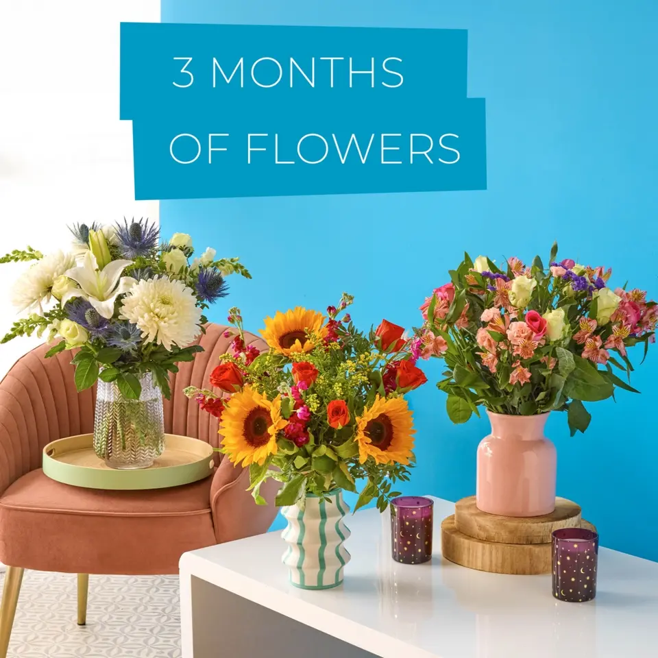 3 Months of Flowers