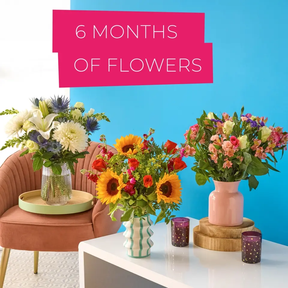 6 Months of Flowers