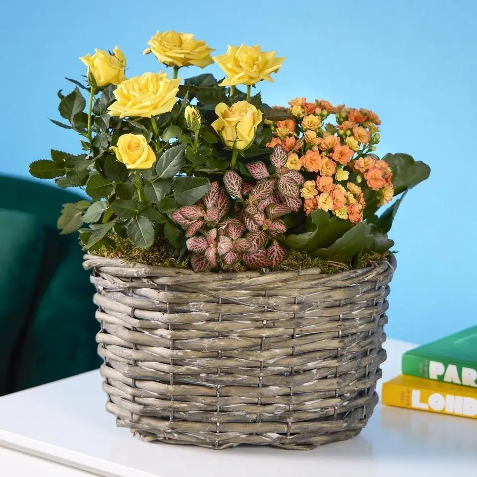 Autumn Glow Basket