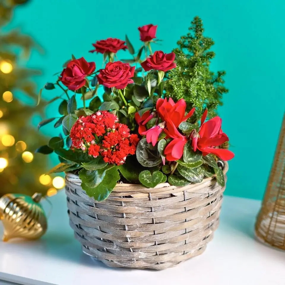 Deluxe Christmas Basket