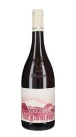 Rose 'Vinudilice' I Vigneri 2024