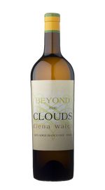 Beyond The Clouds Elena Walch 2023