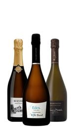 Champagne Wine Gift Box (3bt)