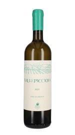 Chardonnay Vallepicciola 2023