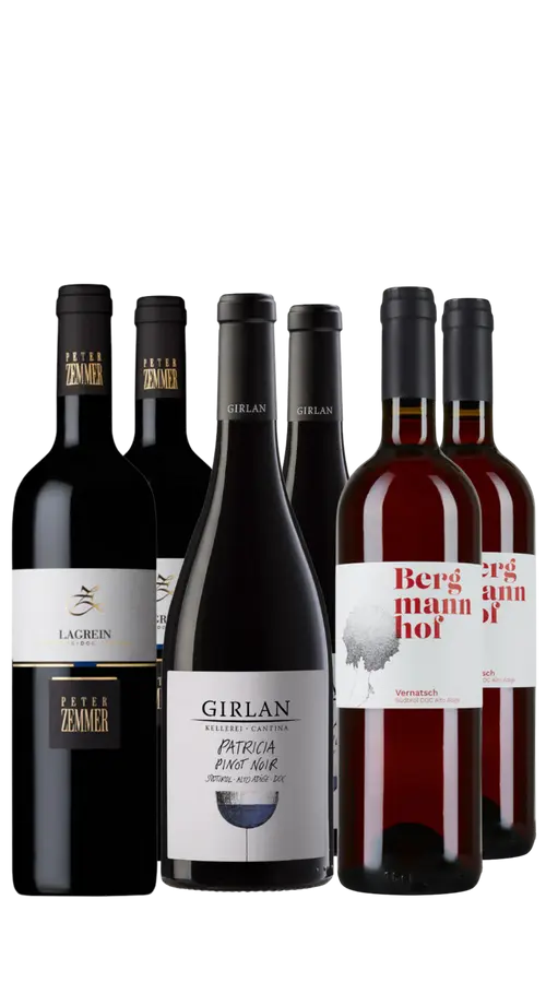 Wine Box Alto Adige Reds (6bt)