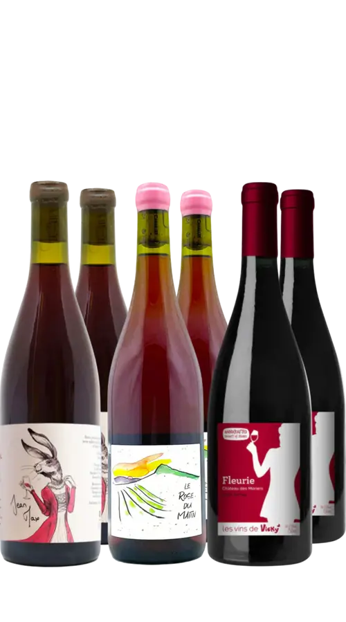Wine Box Beaujolais (6bt)