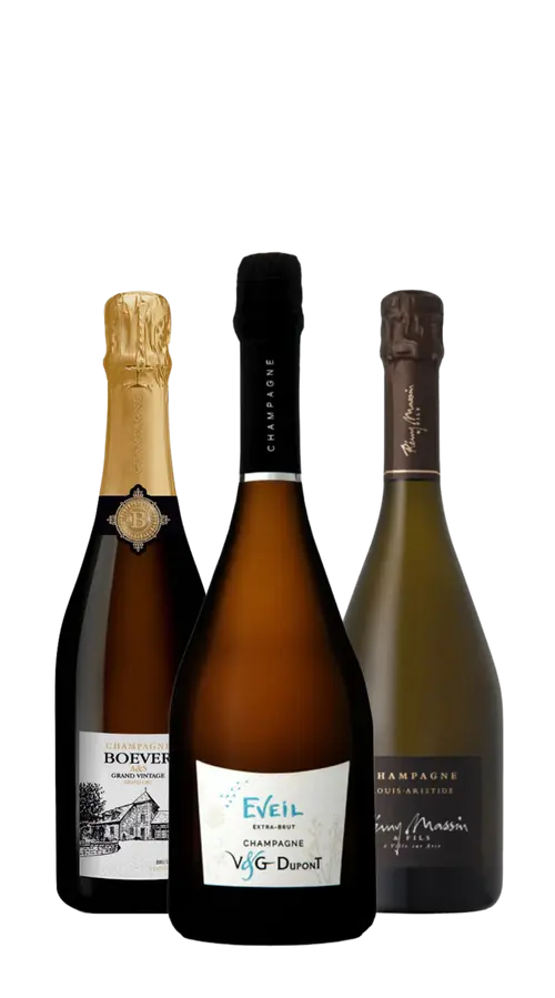 Wine Box Champagne Gifts (3bt)