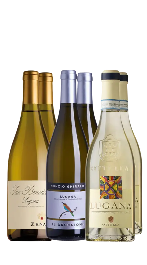 Wine Box Lugana (6bt)