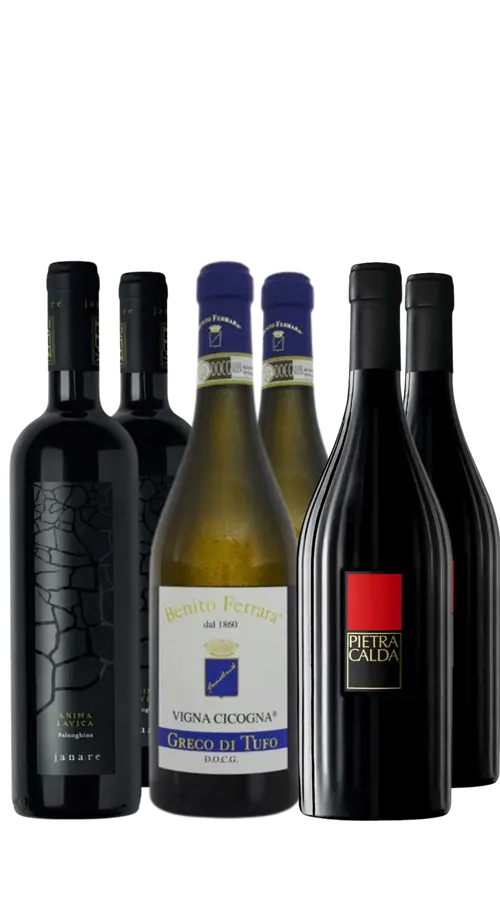 Wine Box Campania Whites (6bt)