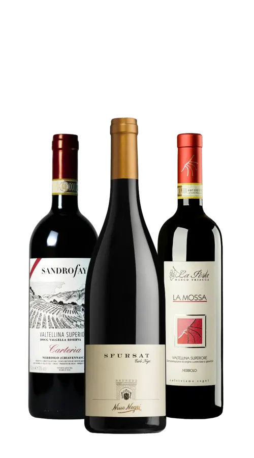 Wine Box Valtellina (6bt)