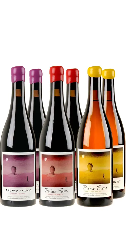Wine Box 'Primo Fuoco' Fattoria Sammontana (6bt)