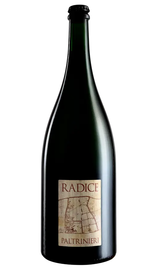 Lambrusco di Sorbara 'Radice' Magnum Paltrinieri 2023