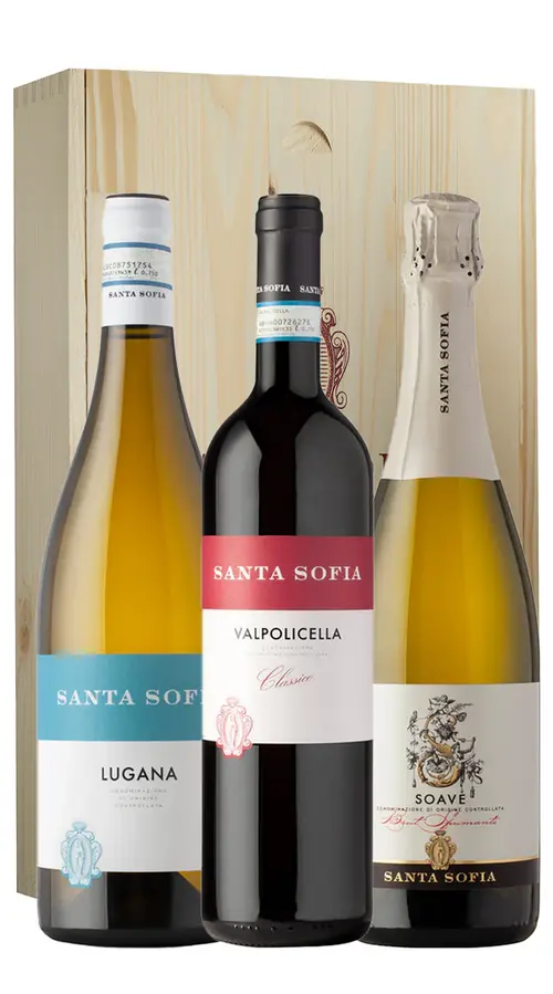 Box 'White, Red and Sparkling Wine' Santa Sofia (3bt)