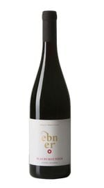 Pinot Noir Ebner 2021