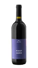 Pinot Noir Erste+Neue 2024