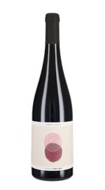 Pinot Noir 'Sophie' Schaal 2024