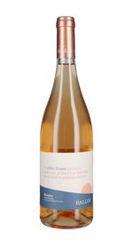Rosato 'Alba Rosea' Rallo 2023